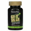 NaturesPlus GHT Male         