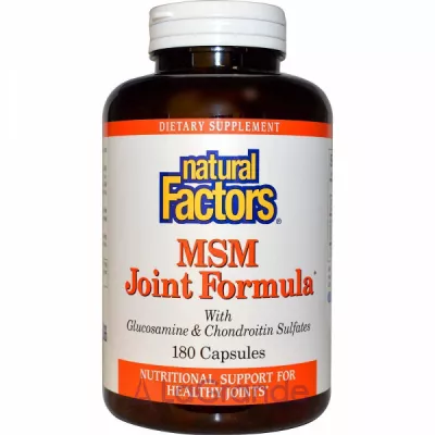 Natural Factors MSM Joint Formula with Glucosamine & Chondroitin Sulfate    