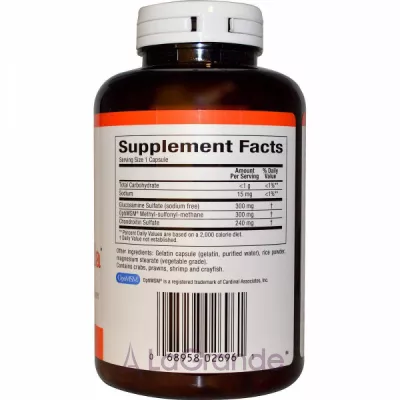 Natural Factors MSM Joint Formula with Glucosamine & Chondroitin Sulfate    