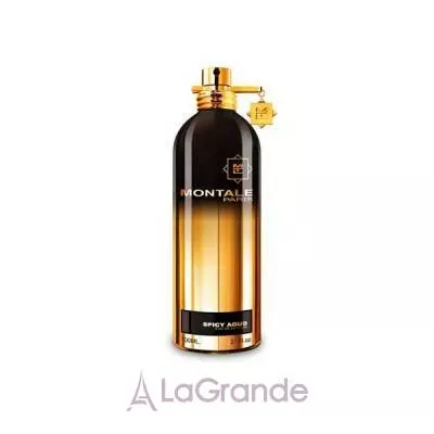 Montale Spicy Aoud  