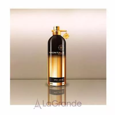 Montale Spicy Aoud  
