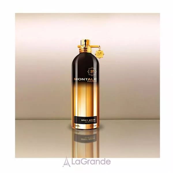 Montale Spicy Aoud ����������� ����