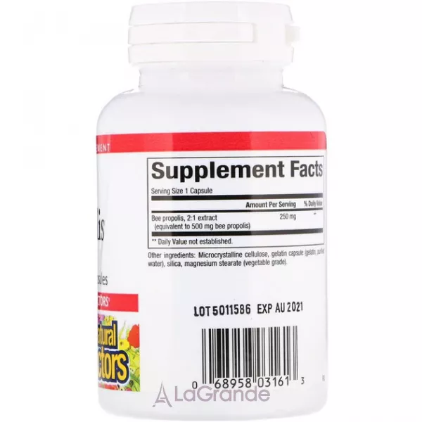 Natural Factors Bee Propolis ĳ������ ������� 