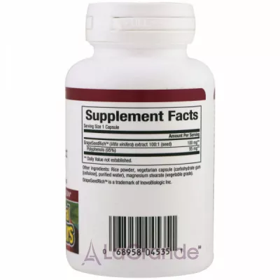Natural Factors Grape Seed Extract 100 mg   
