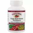 Natural Factors Grape Seed Extract 100 mg   
