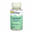 Solaray Lactase With Calcium 40mg/100mg Veg Caps 100pcs