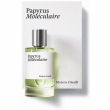 Maison Crivelli Papyrus Moleculaire 100ml