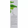 Ekel Foam Cleanser Aloe      