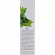Ekel Green Tea Foam Cleanser       