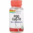 Solaray PQQ CoQ-10 with NAC & Glutathione Veg Caps ³ B14   Q10  N-   (PQQ CoQ-10)