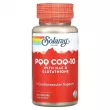 Solaray PQQ CoQ-10 with NAC & Glutathione Veg Caps ³ B14   Q10  N-   (PQQ CoQ-10)