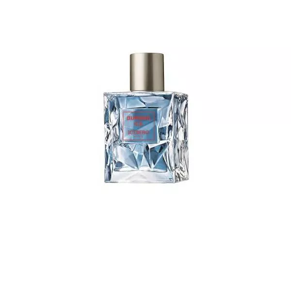 Iceberg Burning Ice ����������