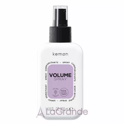 Kemon Volume Spray      