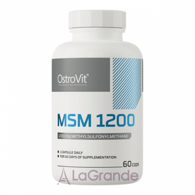 OstroVIt MSM 1200 mg        