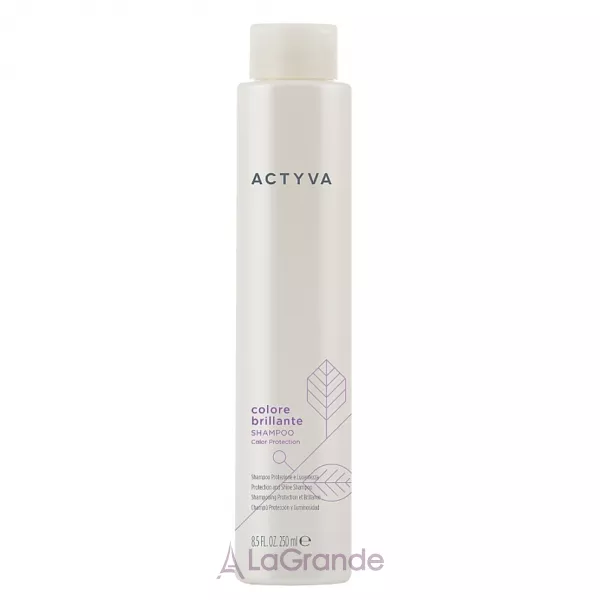 Kemon Actyva Colore Brillante Shampoo ������� ��� ����������� �������