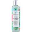 Flora & Curl Soothe Me Coconut Mint Scalp Refresh Shampoo 300ml