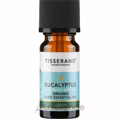 Tisserand Aromatherapy Eucalyptus Organic Pure Essential Oil    