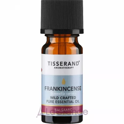 Tisserand Aromatherapy Frankincense Wild Crafted Pure Essential Oil   
