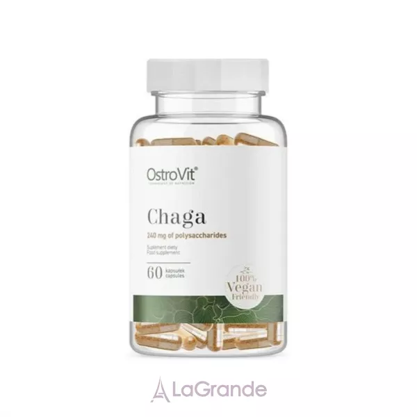 OstroVit Chaga ����������� �������  ���� � ��������
