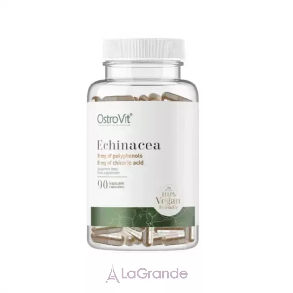 OstroVit Elderberry Vege �������� ������ � ��������