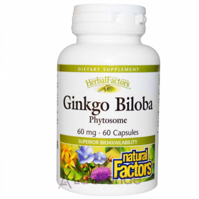 Natural Factors Ginkgo Biloba Phytosome 60 mg ĳ  