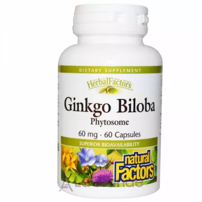 Natural Factors Ginkgo Biloba Phytosome 60 mg ĳ  