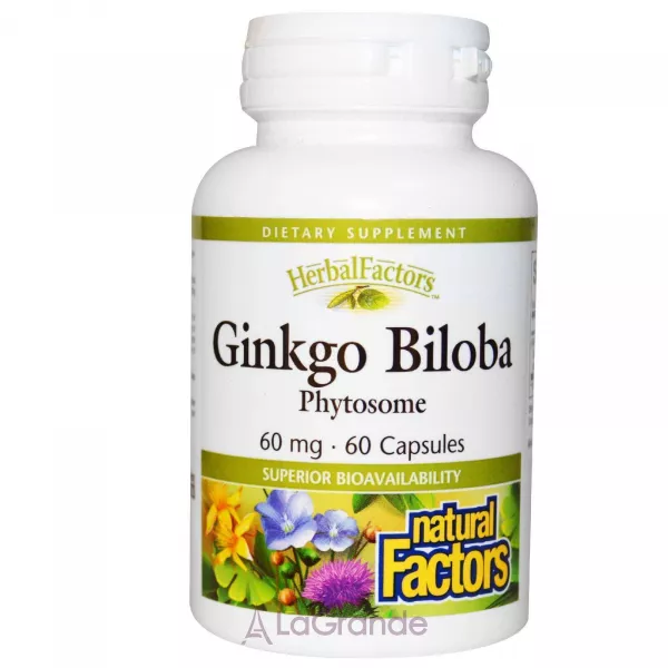 Natural Factors Ginkgo Biloba Phytosome 60 mg ĳ������ ������� 
