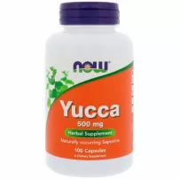 Now Foods Yucca 500 mg ĳ������ ������� "����", 500 ��