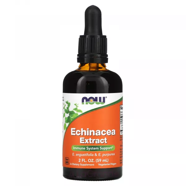Now Foods Echinacea Extract ĳ������ ������� 