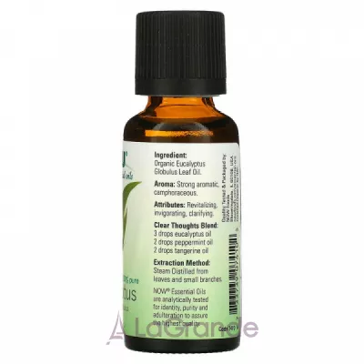 Now Foods Organic Essential Oils Eucalyptus    
