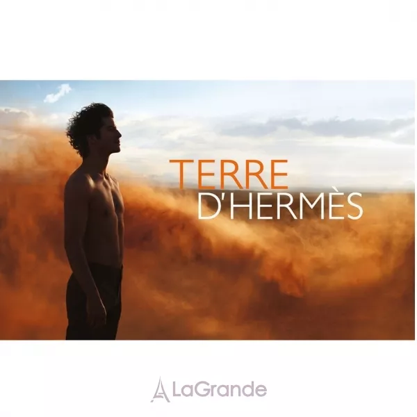 Hermes Terre D`Hermes ����� (��������� ���� 100 �� + ��������� ���� 5 �� + ���� ��� ���� 40 ��)