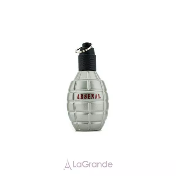 Gilles Cantuel Arsenal Grey ��������������� ����