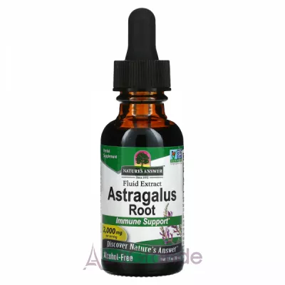 Nature's Answer Astragalus Root 2000 mg ĳ  
