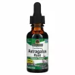 Nature's Answer Astragalus Root 2000 mg ĳ  