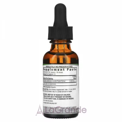 Nature's Answer Chamomile Extract 2400 mg ĳ  