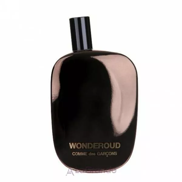 Comme des Garcons Wonderoud ��������������� ����