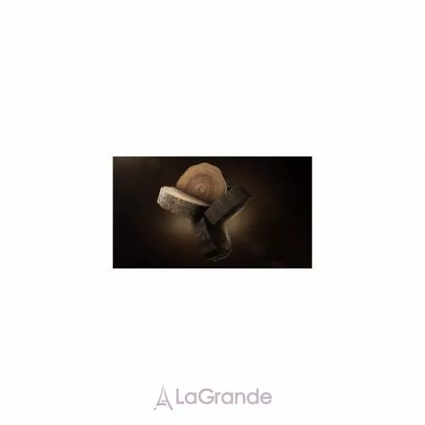 Comme des Garcons Wonderoud ��������������� ����