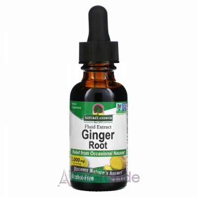 Nature's Answer Ginger Root 1000 mg   