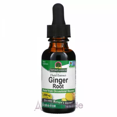 Nature's Answer Ginger Root 1000 mg   