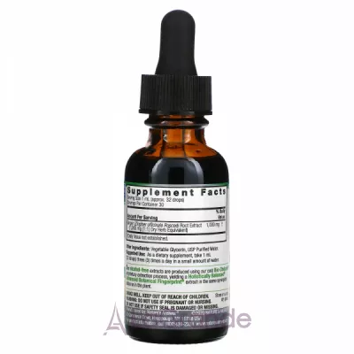 Nature's Answer Ginger Root 1000 mg   