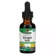 Nature's Answer Ginger Root 1000 mg   