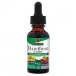 Nature's Answer Hawthorn Extract 2000 mg   