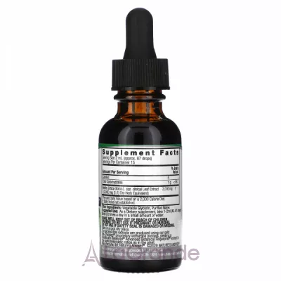 Nature's Answer Nettle Extract 2000 mg   