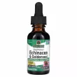 Nature's Answer Echinacea & Goldenseal ĳ  