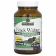 Nature's Answer Black Walnut 1500 mg ĳ  