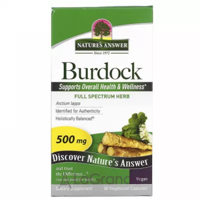 Nature's Answer Burdock 500 mg ĳ  