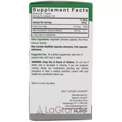 Nature's Answer Kelp Thallus ĳ  