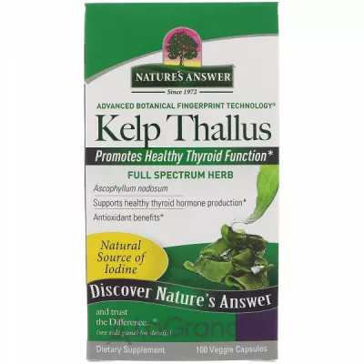 Nature's Answer Kelp Thallus ĳ  