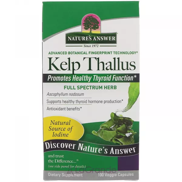 Nature's Answer Kelp Thallus ����������� ������� 