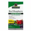 Nature's Answer Red Raspberry 950 mg   